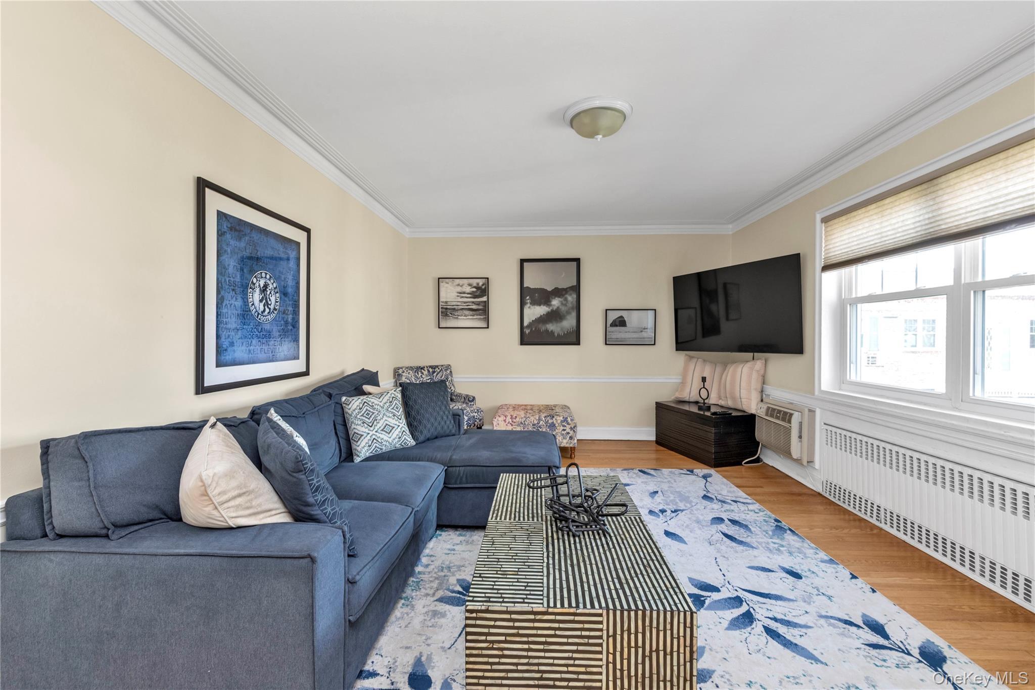 Coop Forest Nassau County, NY 11570, MLS-981347-3