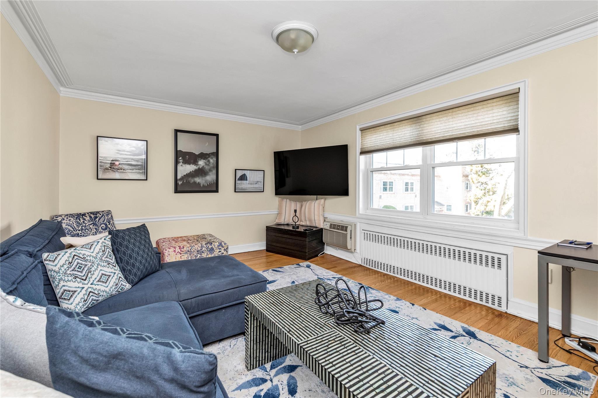 Coop Forest Nassau County, NY 11570, MLS-981347-4