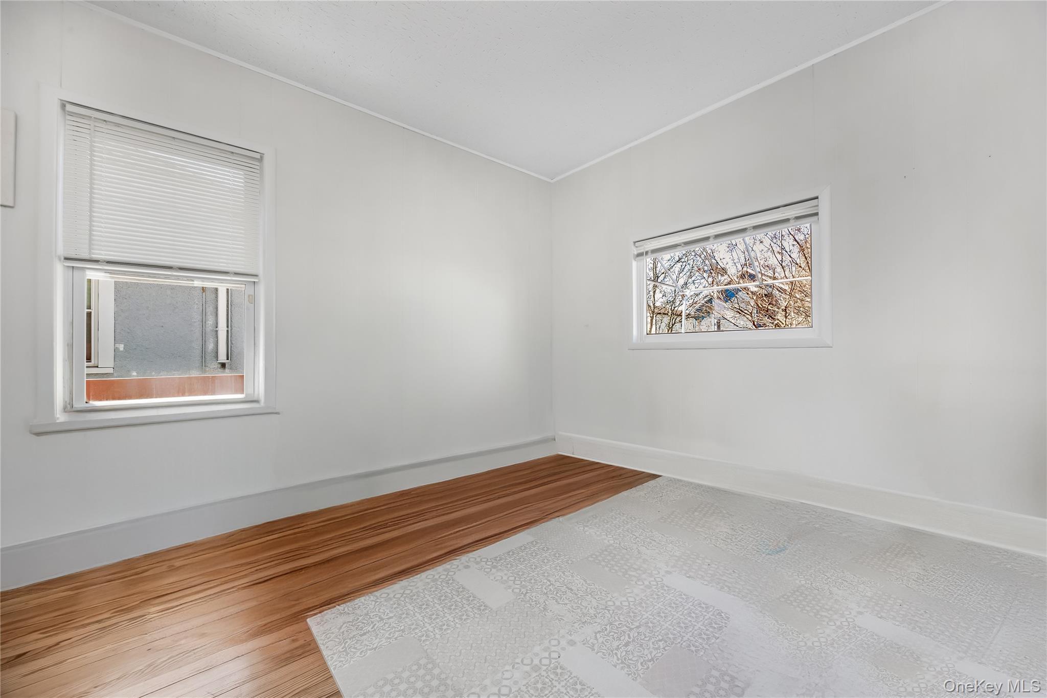 Single Family February Walk  Nassau County, NY 11561, MLS-981361-14