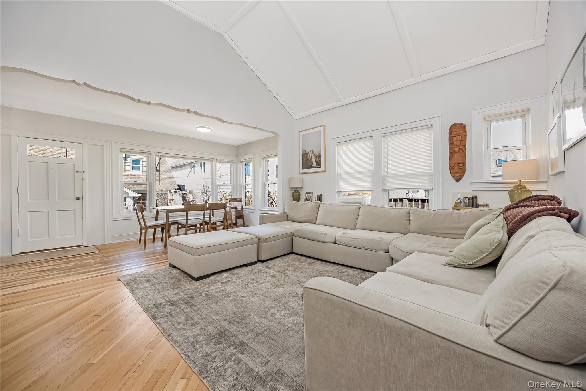 Single Family February Walk  Nassau County, NY 11561, MLS-981361-9