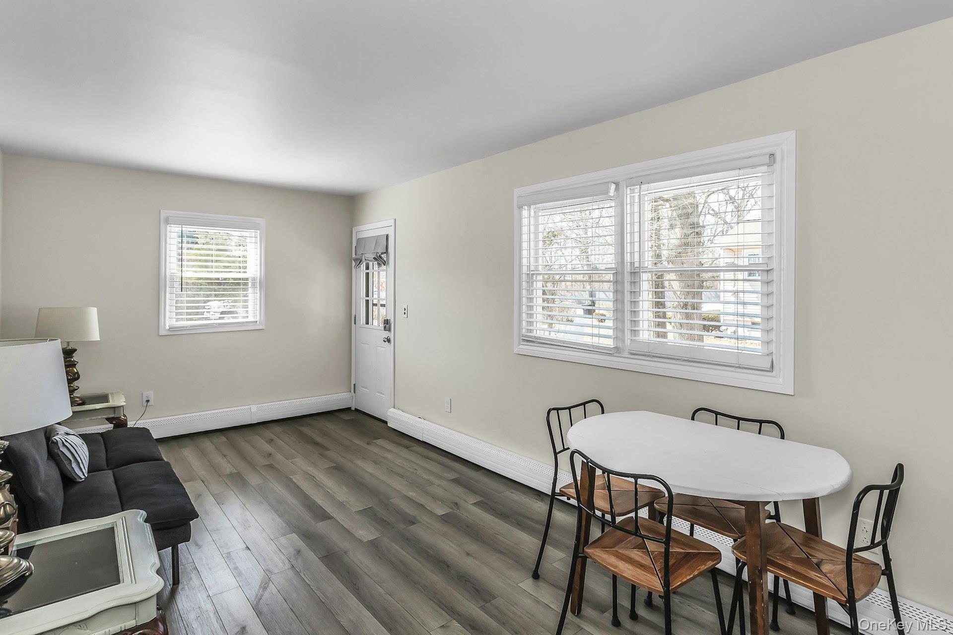 Single Family Diane  Suffolk County, NY 11706, MLS-981374-19