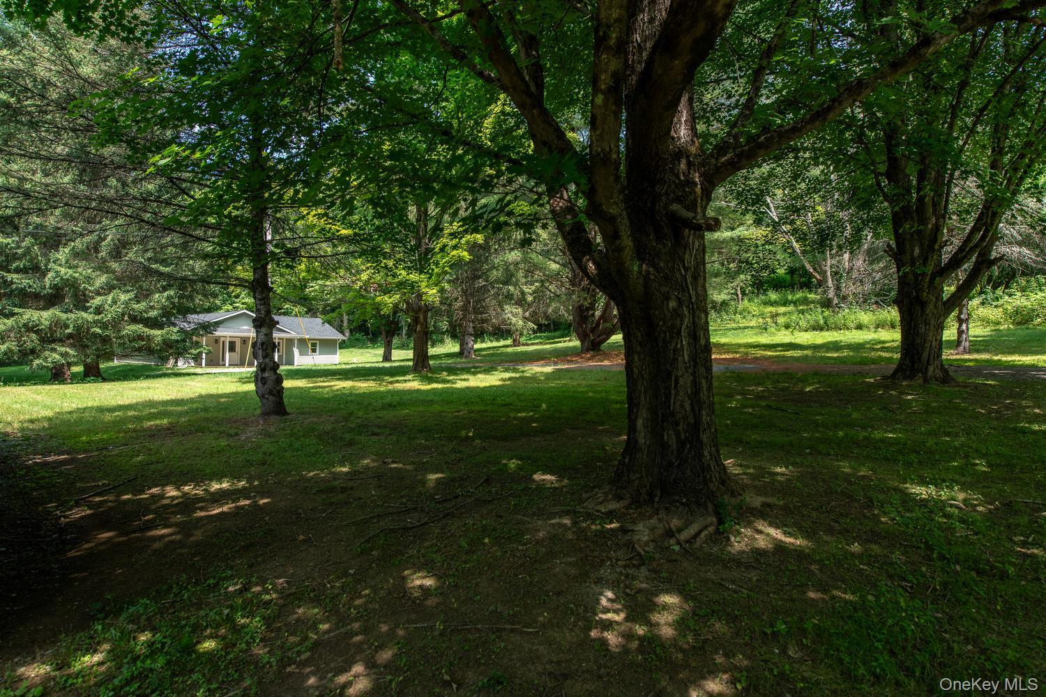 Single Family Route 199  Dutchess County, NY 12546, MLS-981397-24
