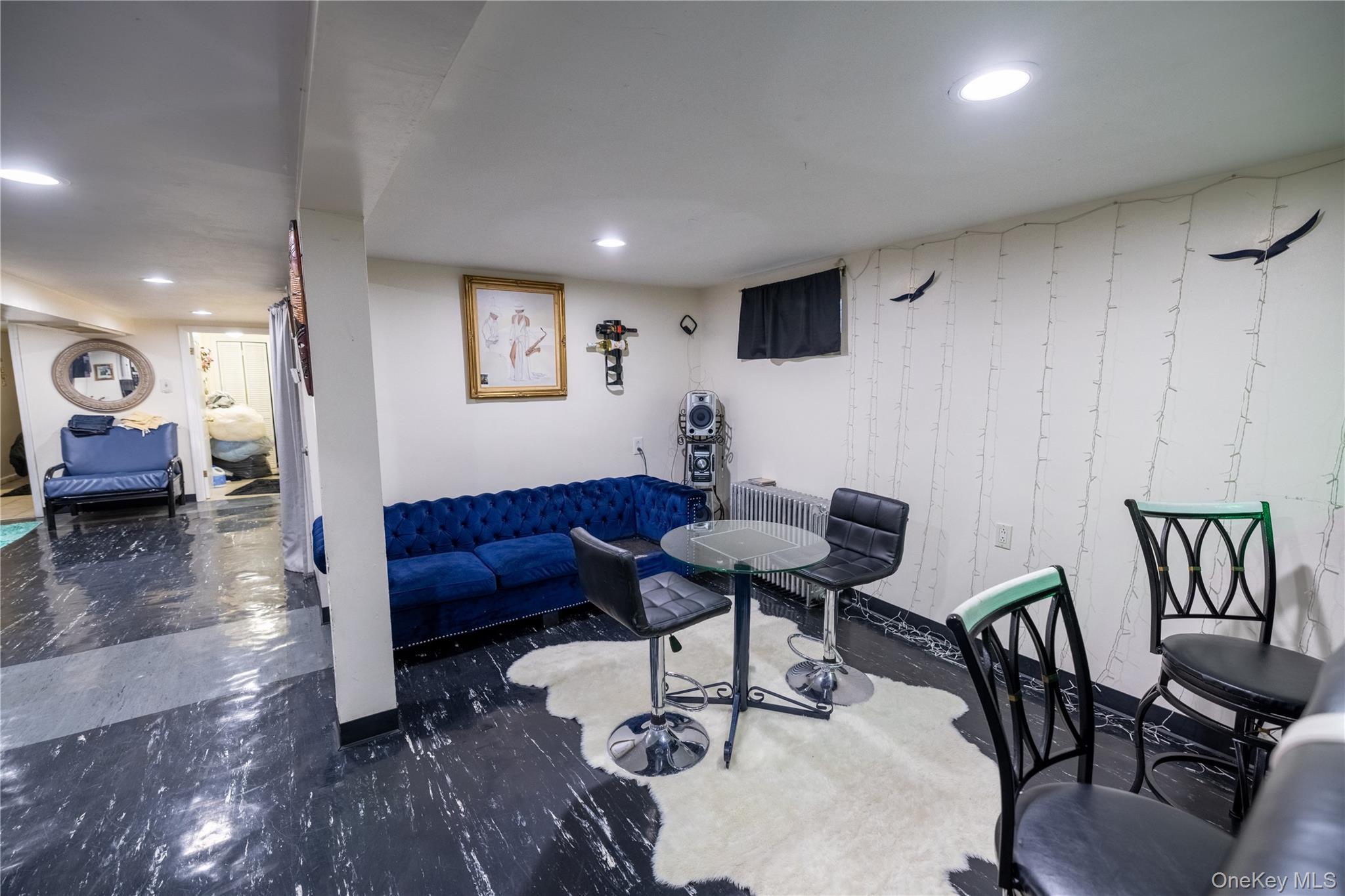 Single Family E 34th Street Brooklyn, NY 11210, MLS-981404-27