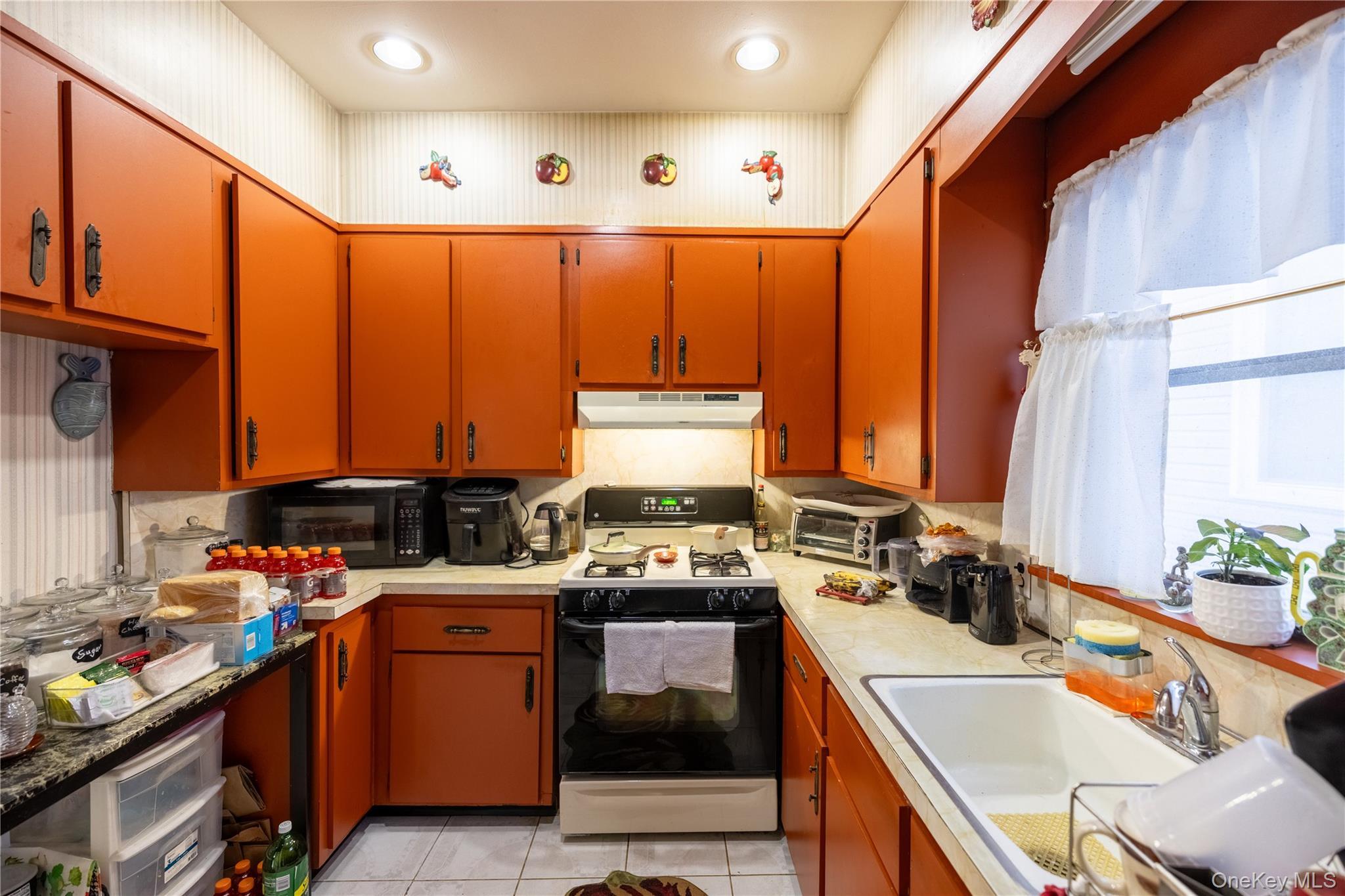 Single Family E 34th Street Brooklyn, NY 11210, MLS-981404-6