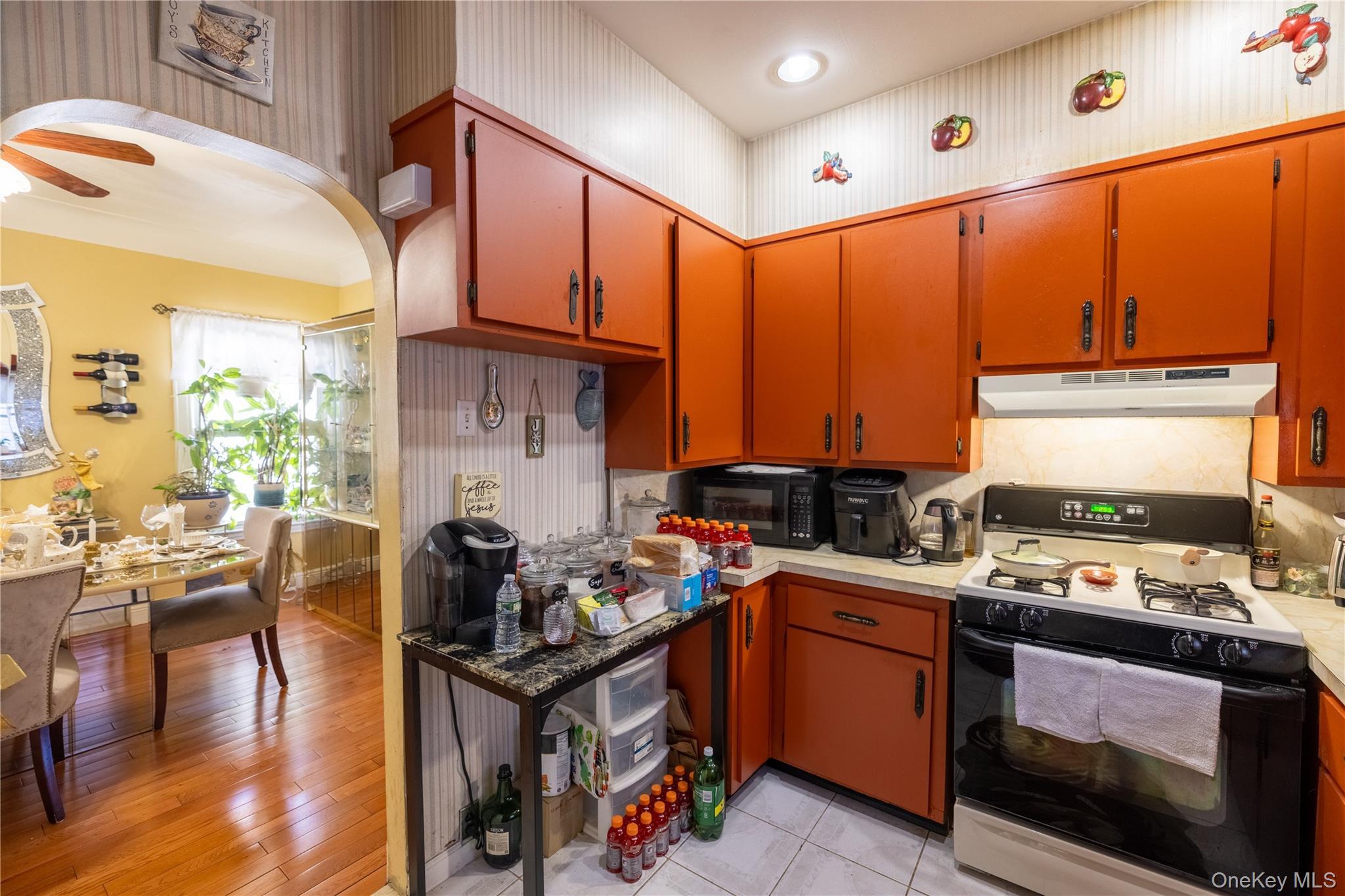 Single Family E 34th Street Brooklyn, NY 11210, MLS-981404-7