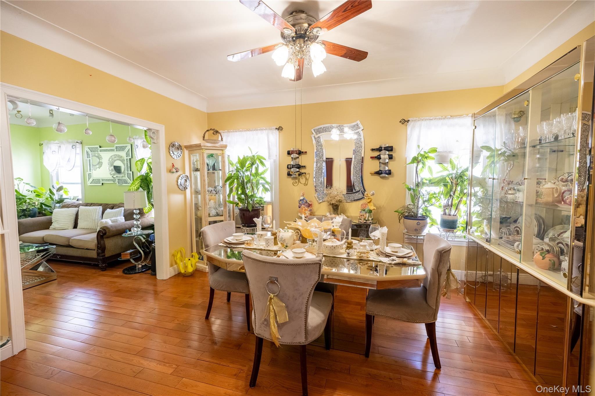 Single Family E 34th Street Brooklyn, NY 11210, MLS-981404-8