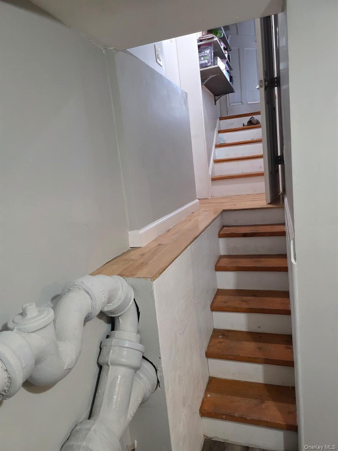 Single Family Revere Avenue  Bronx, NY 10465, MLS-981410-6