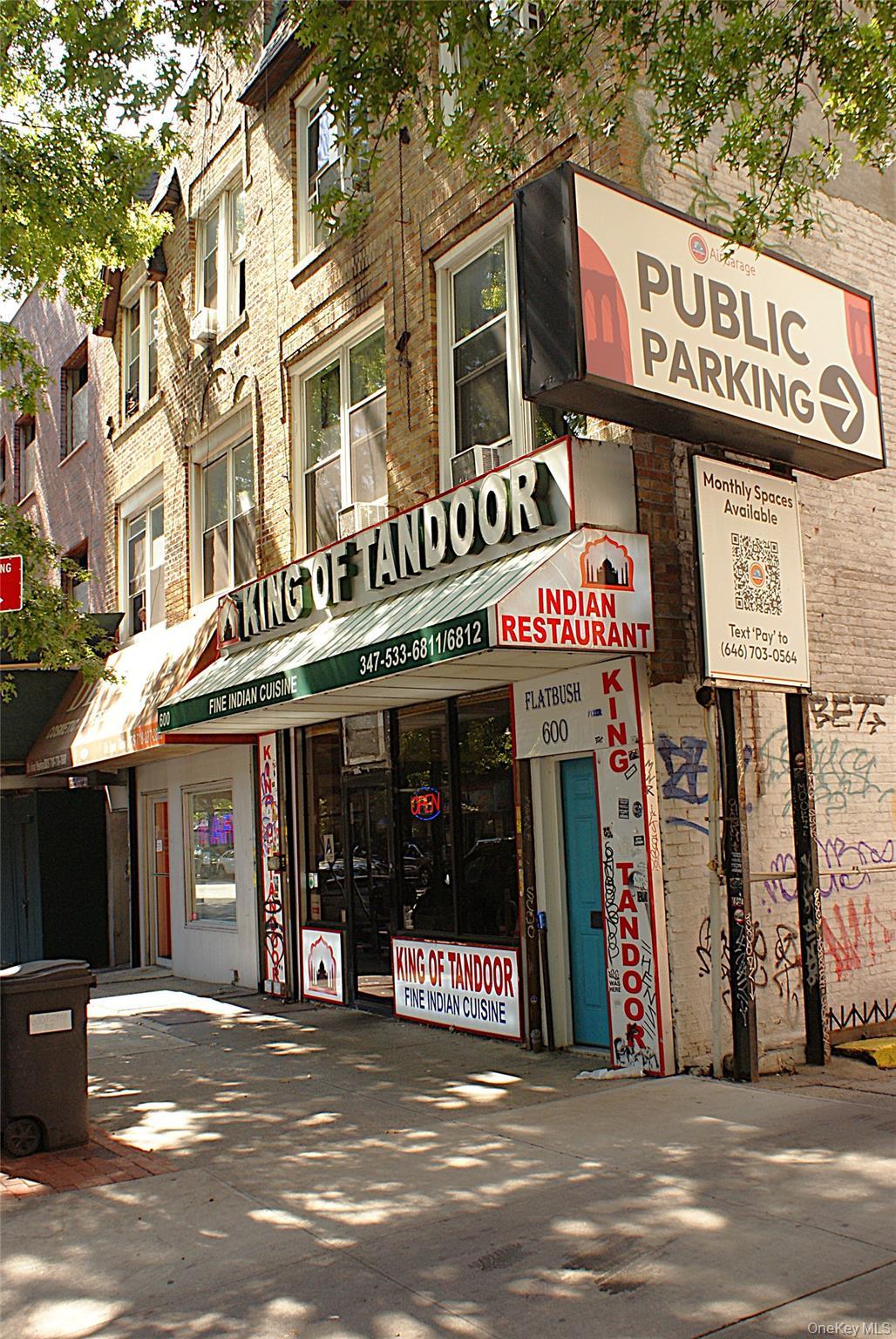 Single Family Flatbush Brooklyn, NY 11225, MLS-981416-2