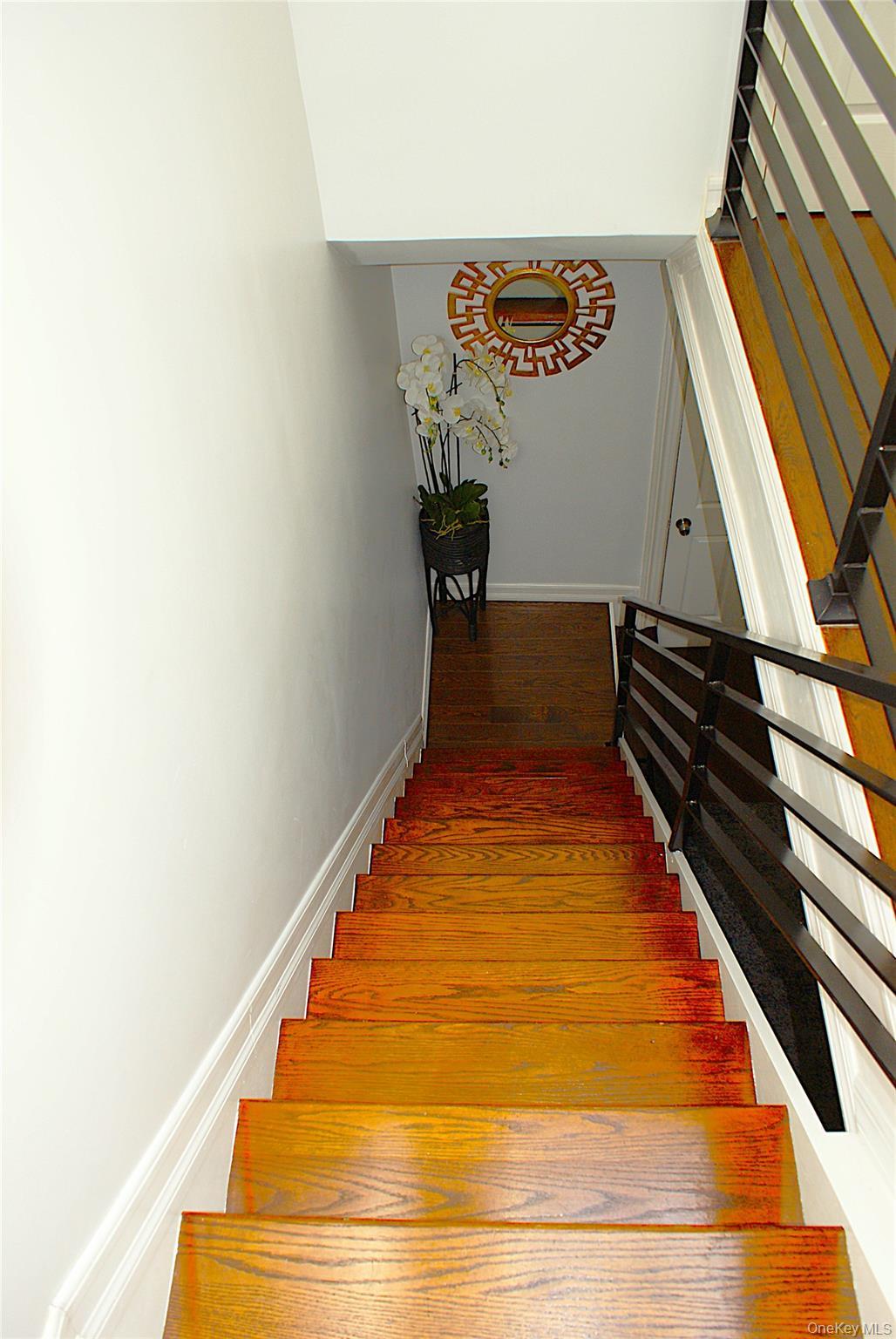 Single Family Flatbush Brooklyn, NY 11225, MLS-981416-6