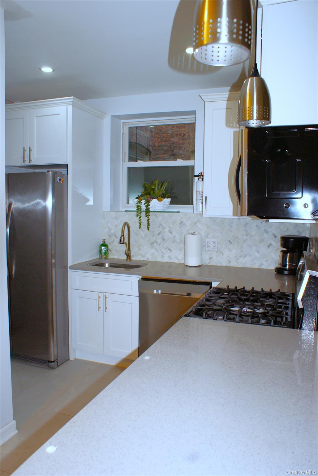 Single Family Flatbush Brooklyn, NY 11225, MLS-981416-7