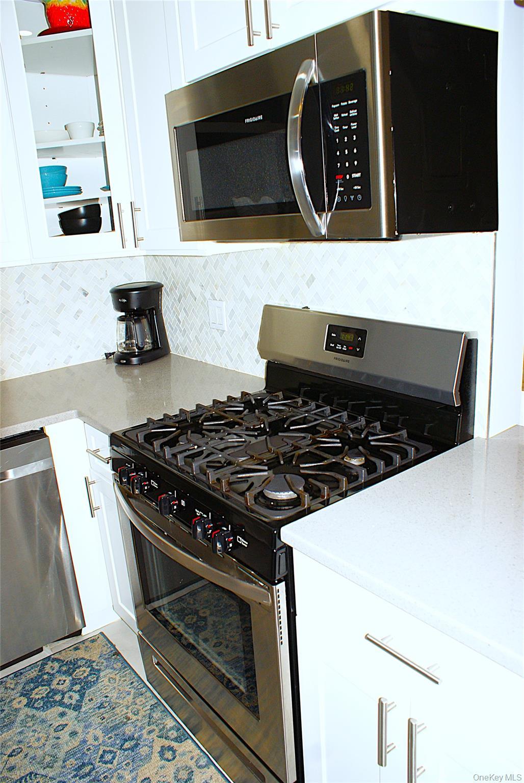 Single Family Flatbush Brooklyn, NY 11225, MLS-981416-8