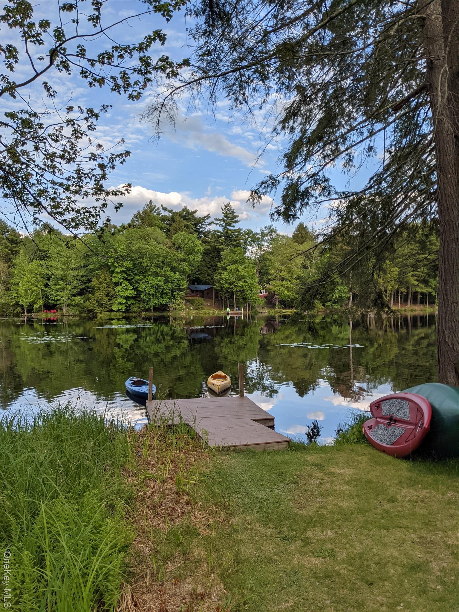 Single Family Catskill  Sullivan County, NY 12720, MLS-981430-27