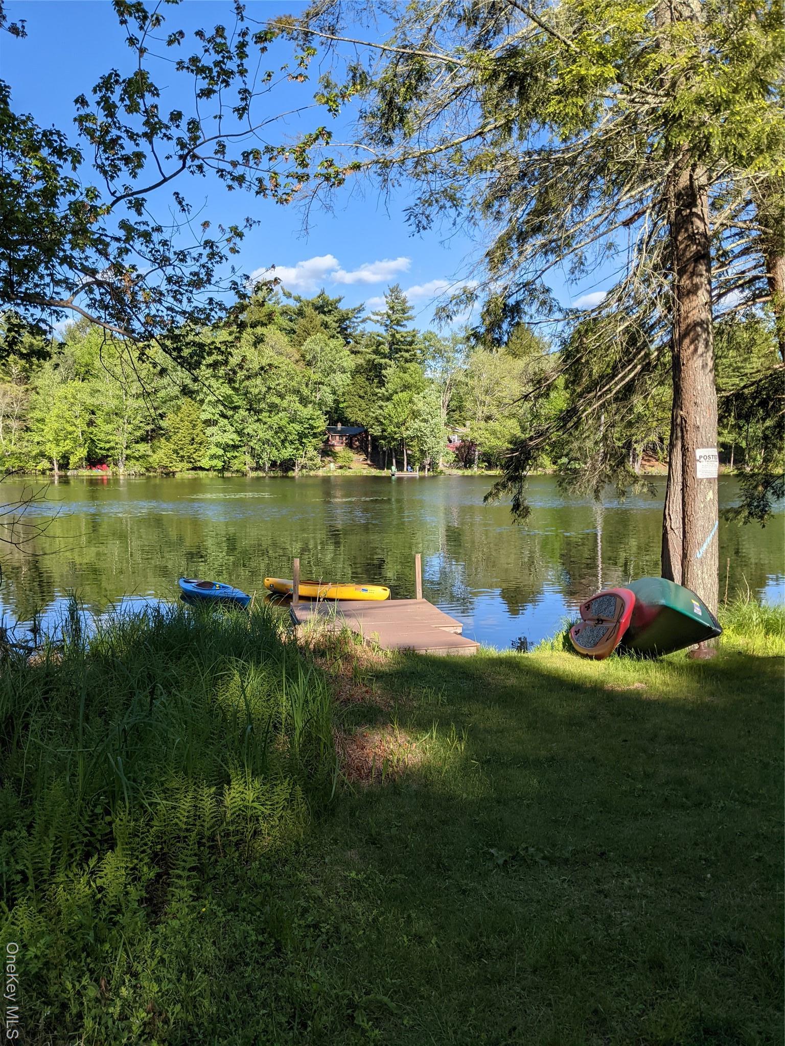 Single Family Catskill  Sullivan County, NY 12720, MLS-981430-28