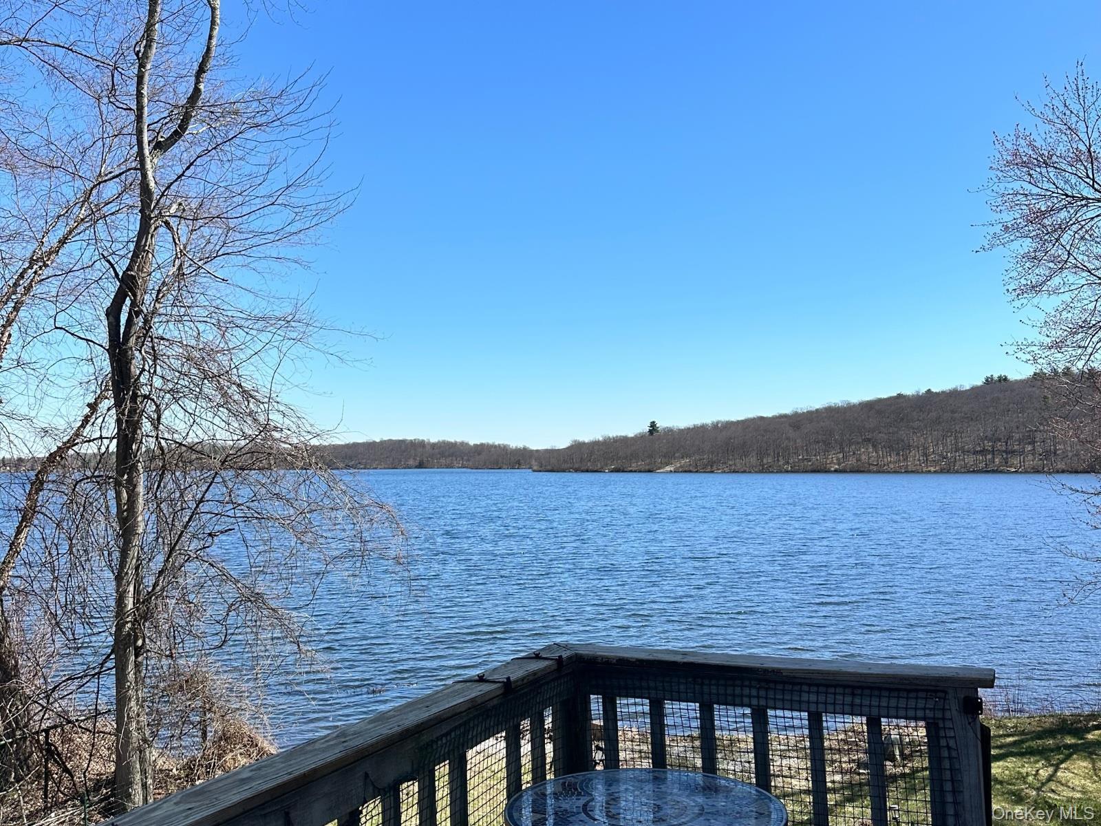 Single Family Mombasha  Orange County, NY 10950, MLS-981454-3