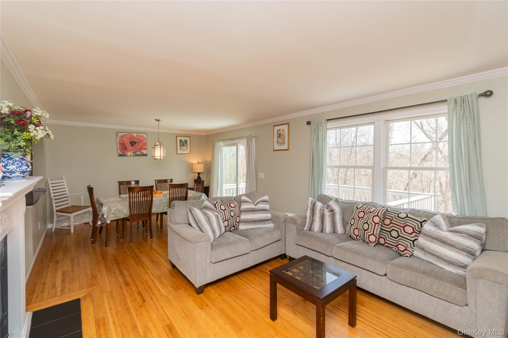 Single Family South  Putnam County, NY 10509, MLS-981461-12