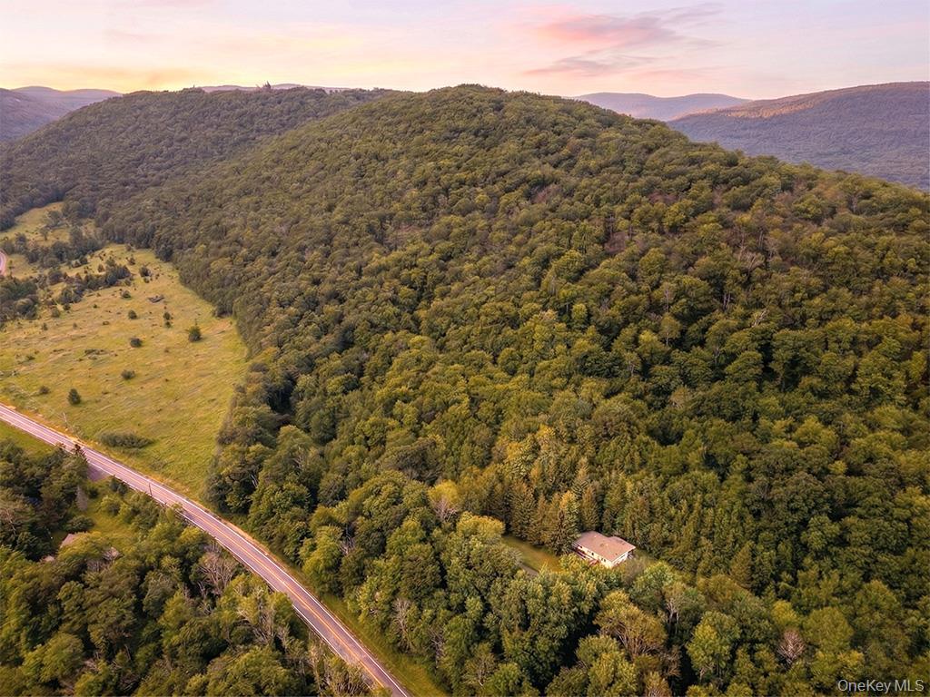 Single Family Old Route 17  Sullivan County, NY 12776, MLS-981464-10