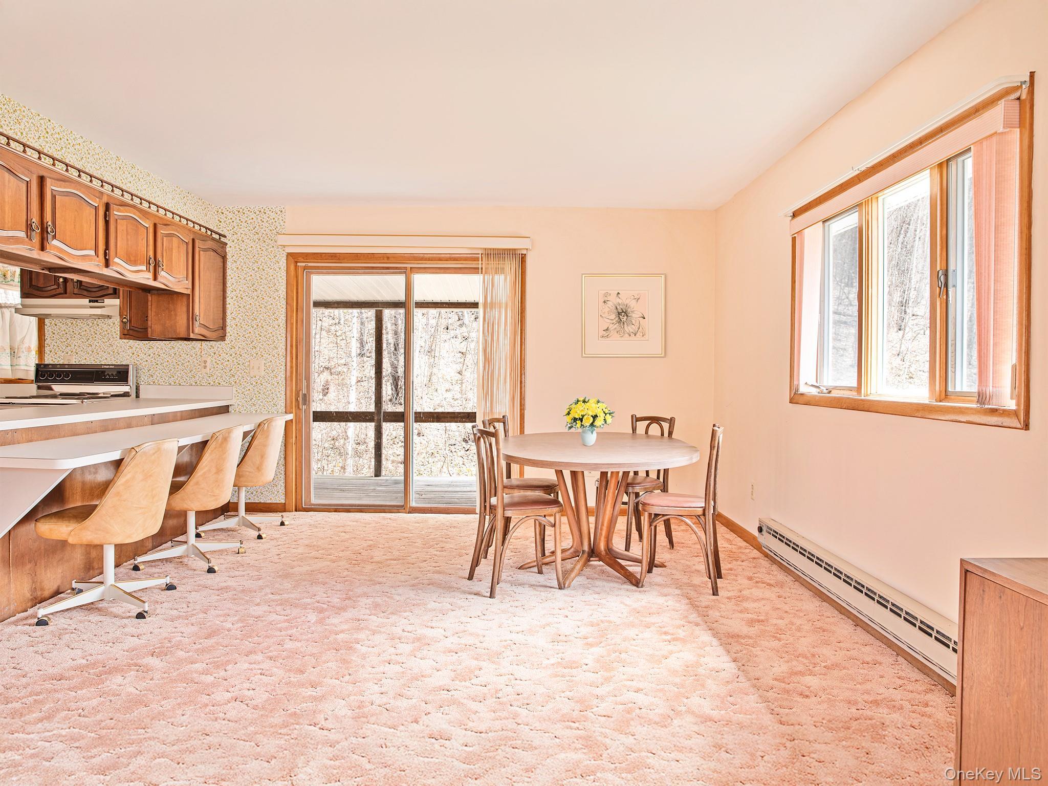 Single Family Old Route 17  Sullivan County, NY 12776, MLS-981464-3