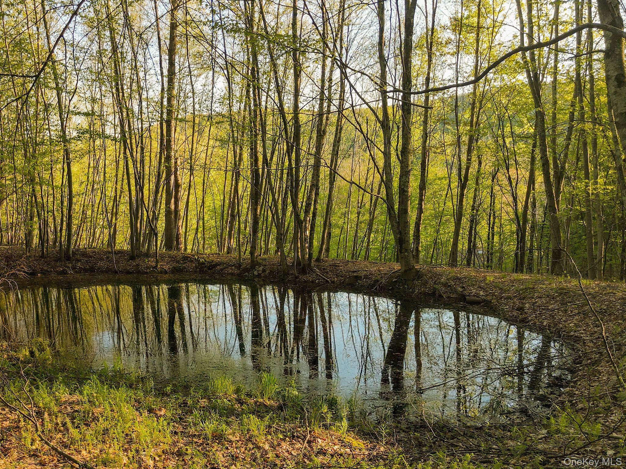 Single Family Old Route 17  Sullivan County, NY 12776, MLS-981464-8