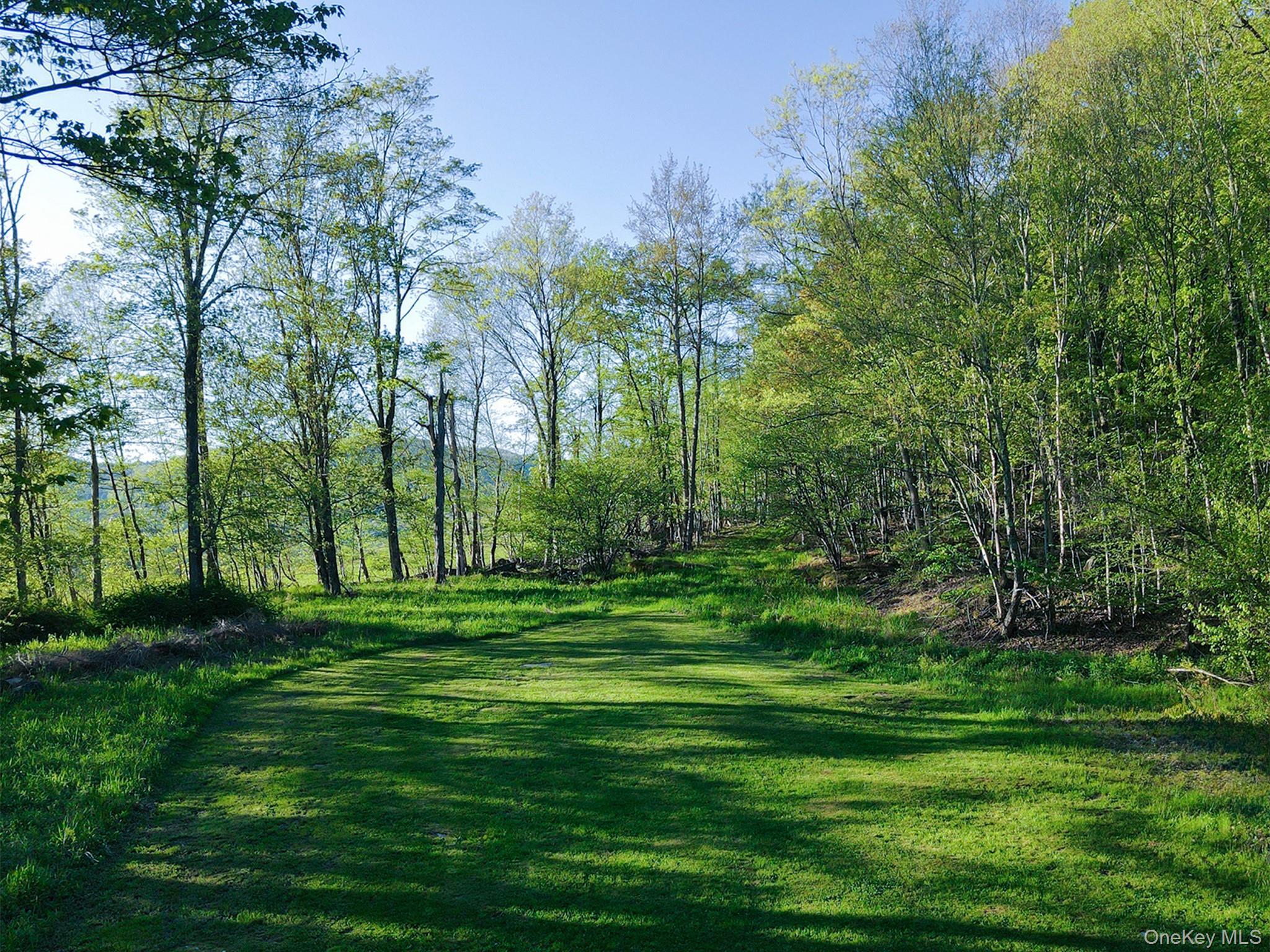 Single Family Old Route 17  Sullivan County, NY 12776, MLS-981464-9