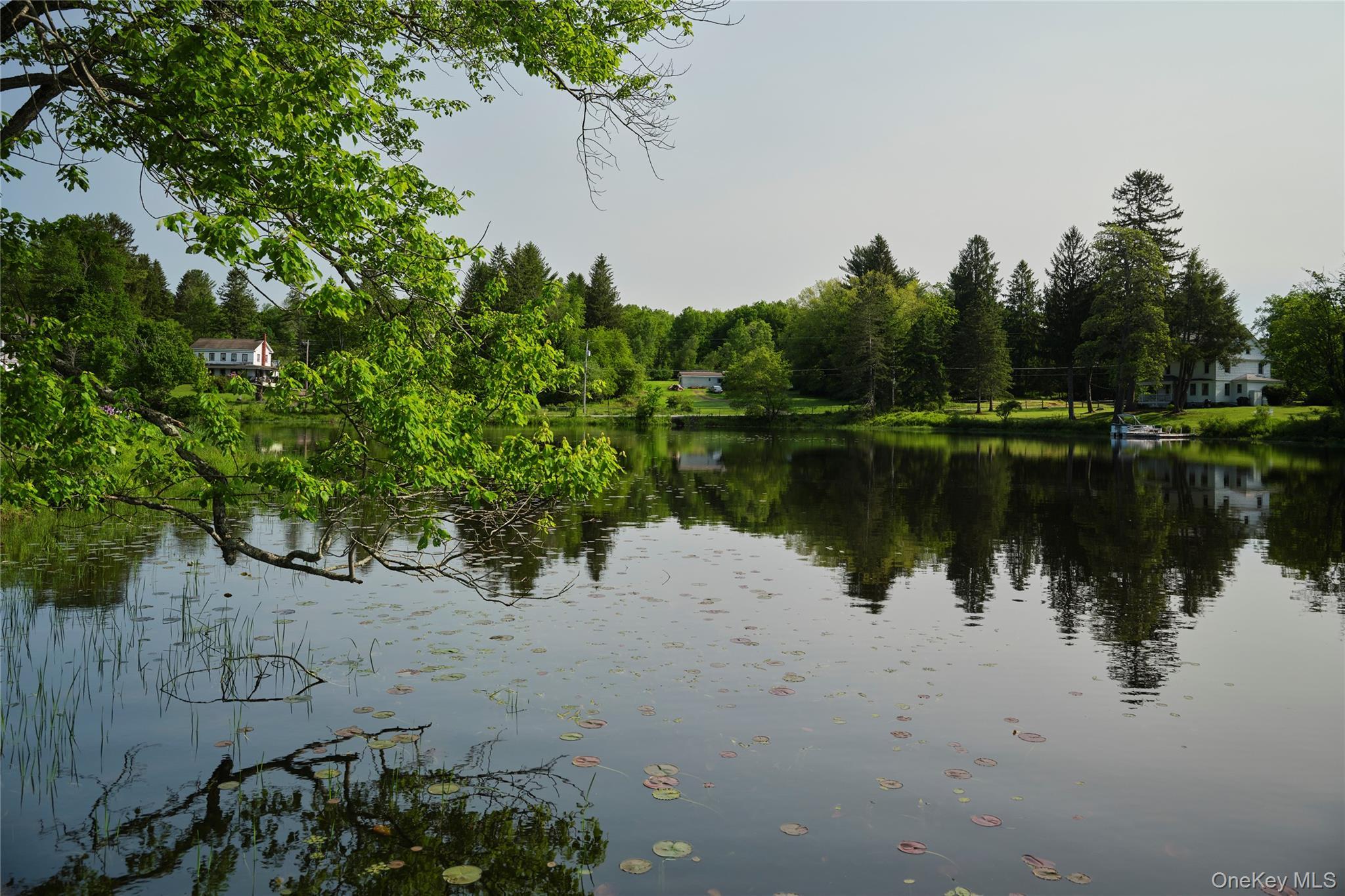 Single Family State Route 52  Sullivan County, NY 12750, MLS-981469-29