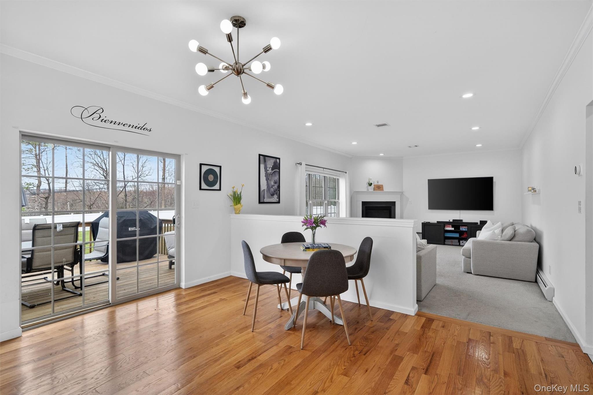 Single Family Reynolds  Orange County, NY 10950, MLS-981482-16