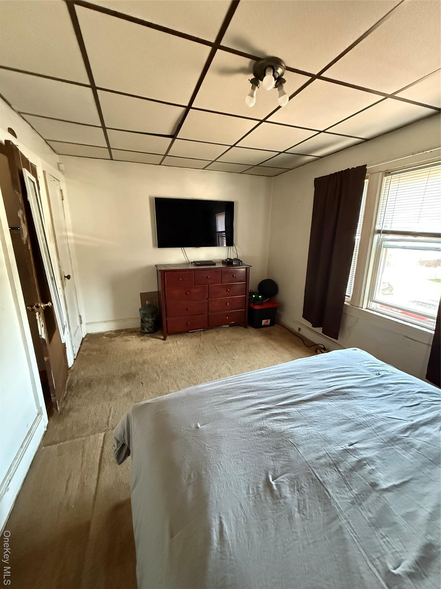 Single Family Dewitt  Nassau County, NY 11580, MLS-981510-25