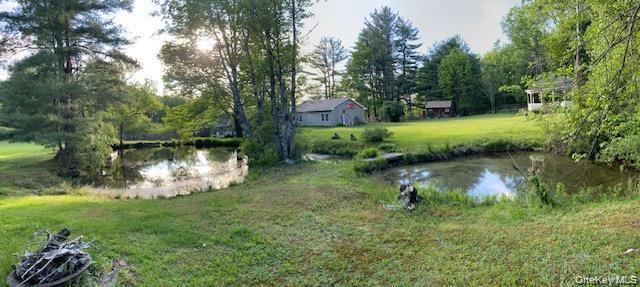 Single Family Thompson Road  Sullivan County, NY 12701, MLS-981535-11