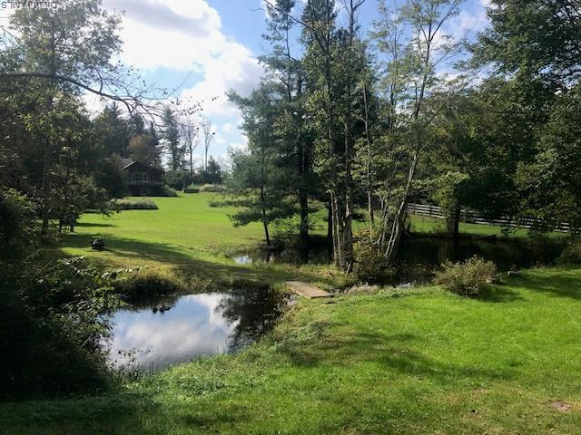 Single Family Thompson Road  Sullivan County, NY 12701, MLS-981535-13