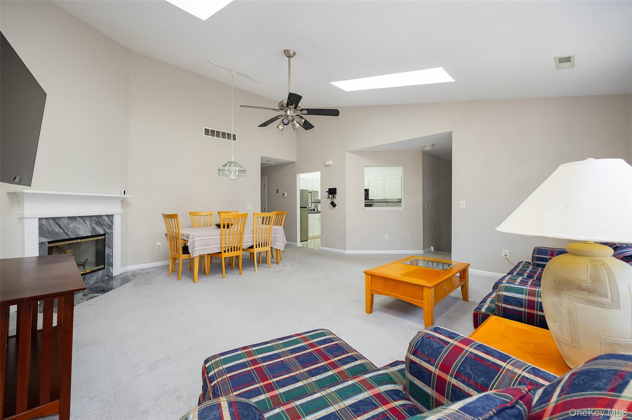 Condo Panorama  Dutchess County, NY 12603, MLS-981544-5