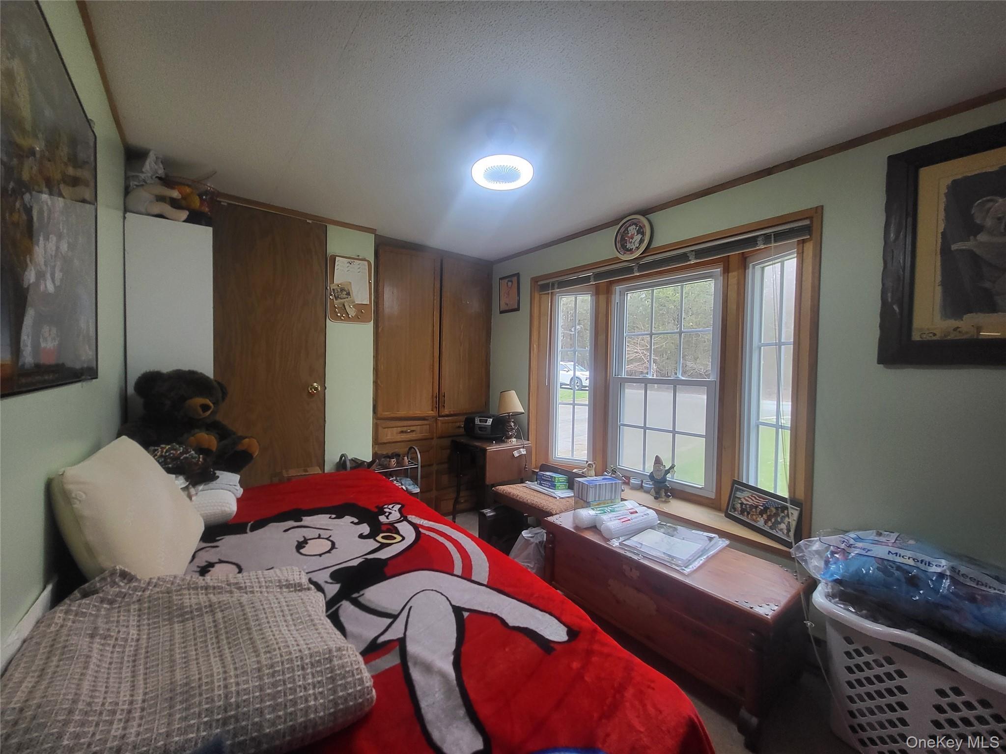 Single Family Old Greenfield  Sullivan County, NY 12789, MLS-981579-20