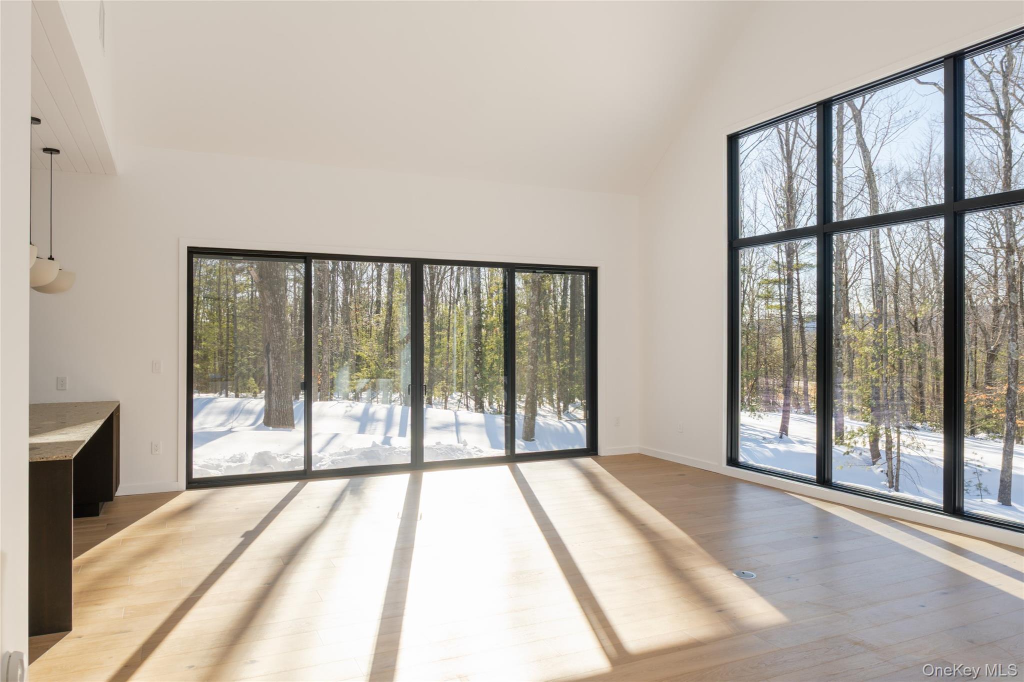 Single Family Pine Grove Road  Ulster County, NY 12446, MLS-981614-3