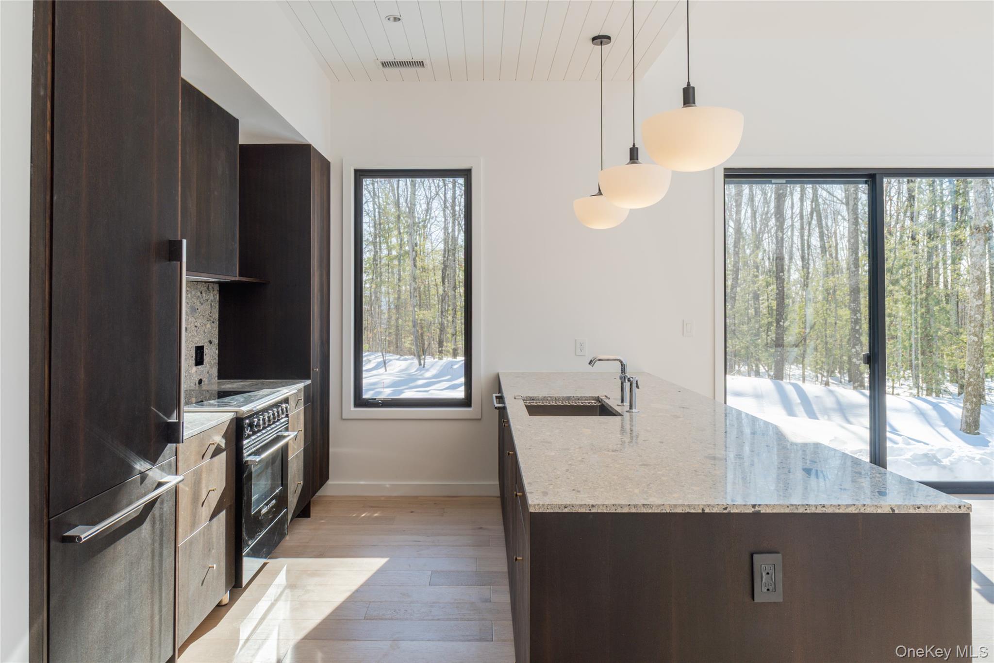 Single Family Pine Grove Road  Ulster County, NY 12446, MLS-981614-7