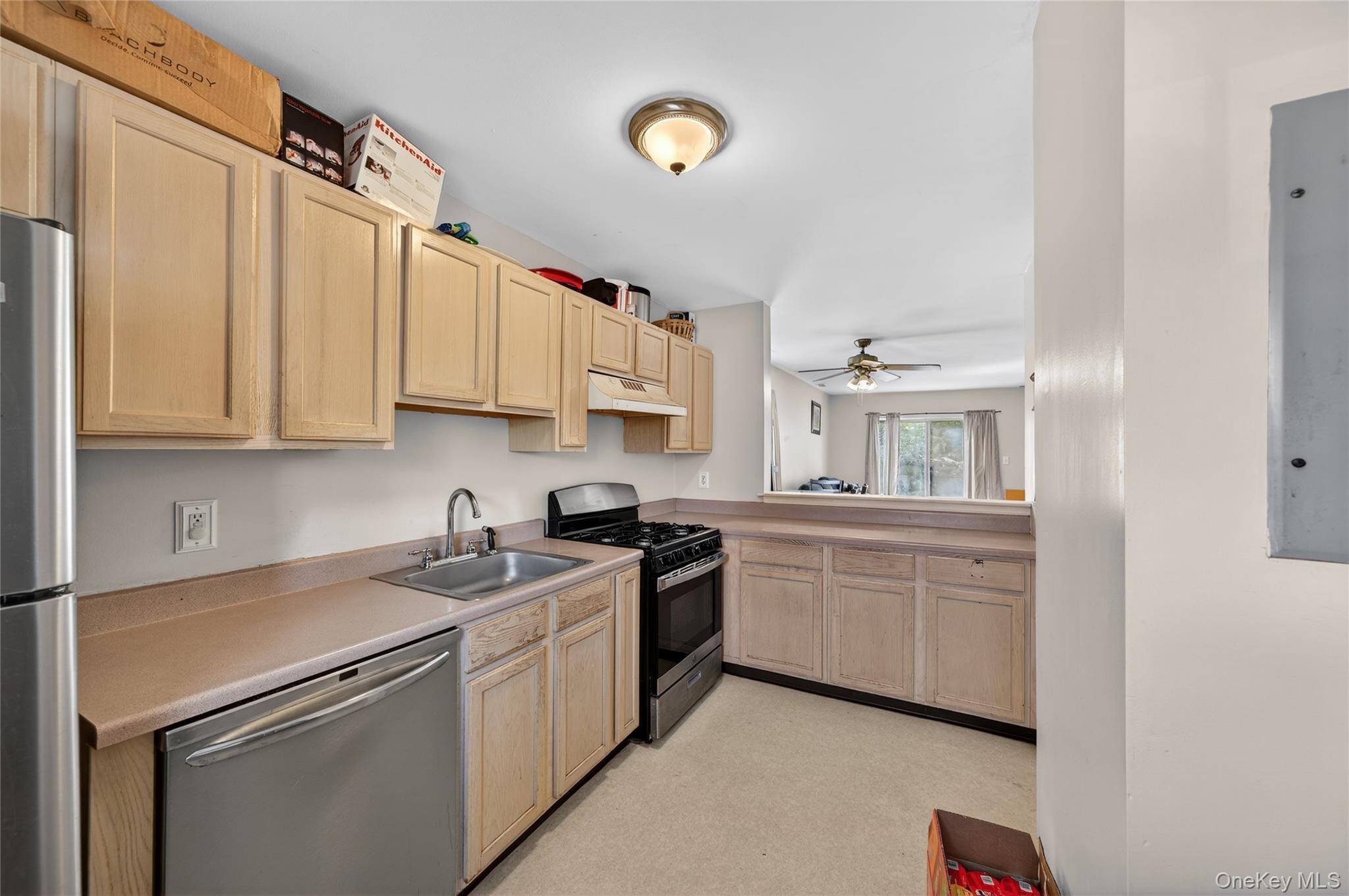 Condo Lois  Orange County, NY 10950, MLS-981651-12