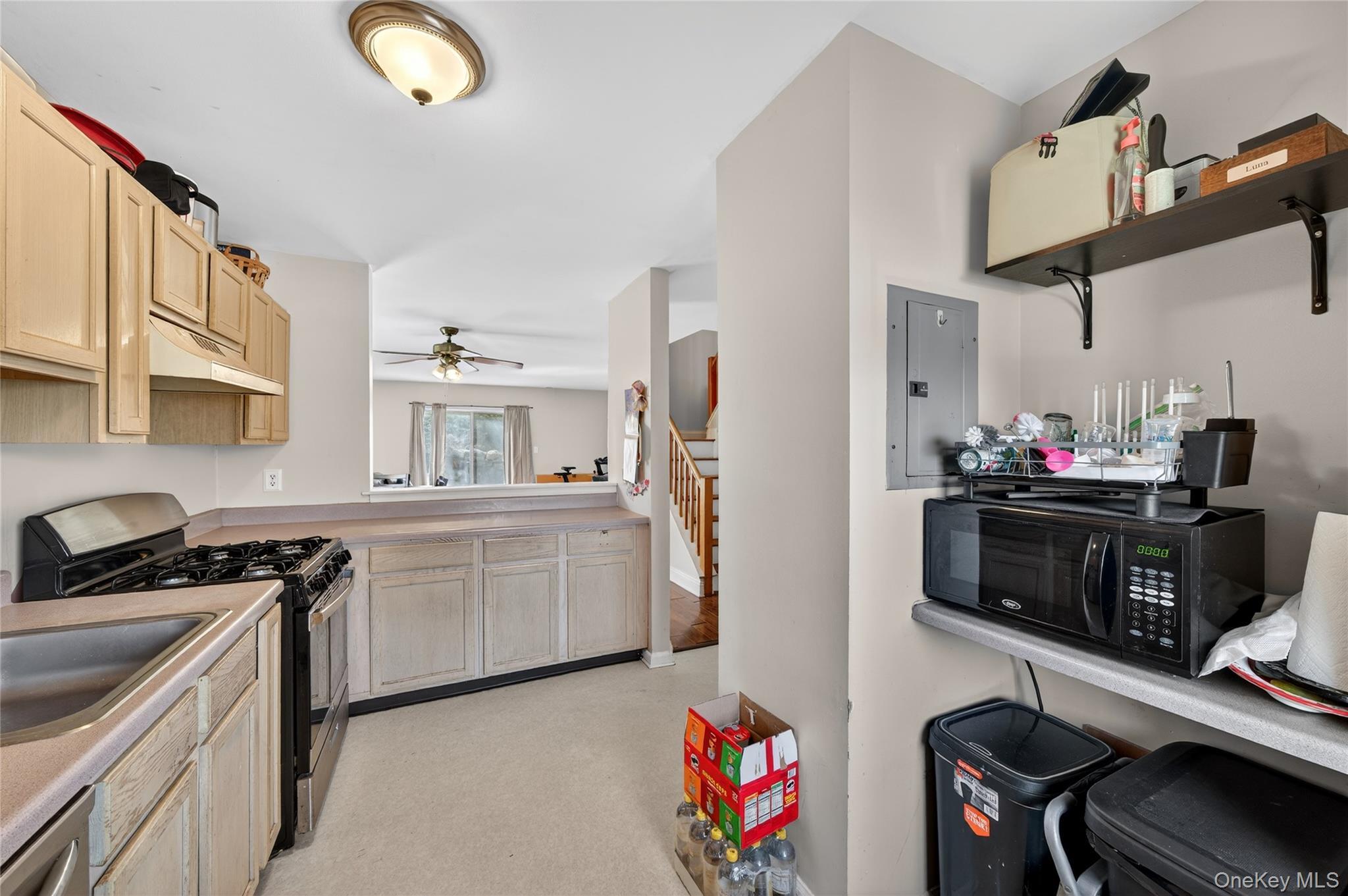 Condo Lois  Orange County, NY 10950, MLS-981651-13