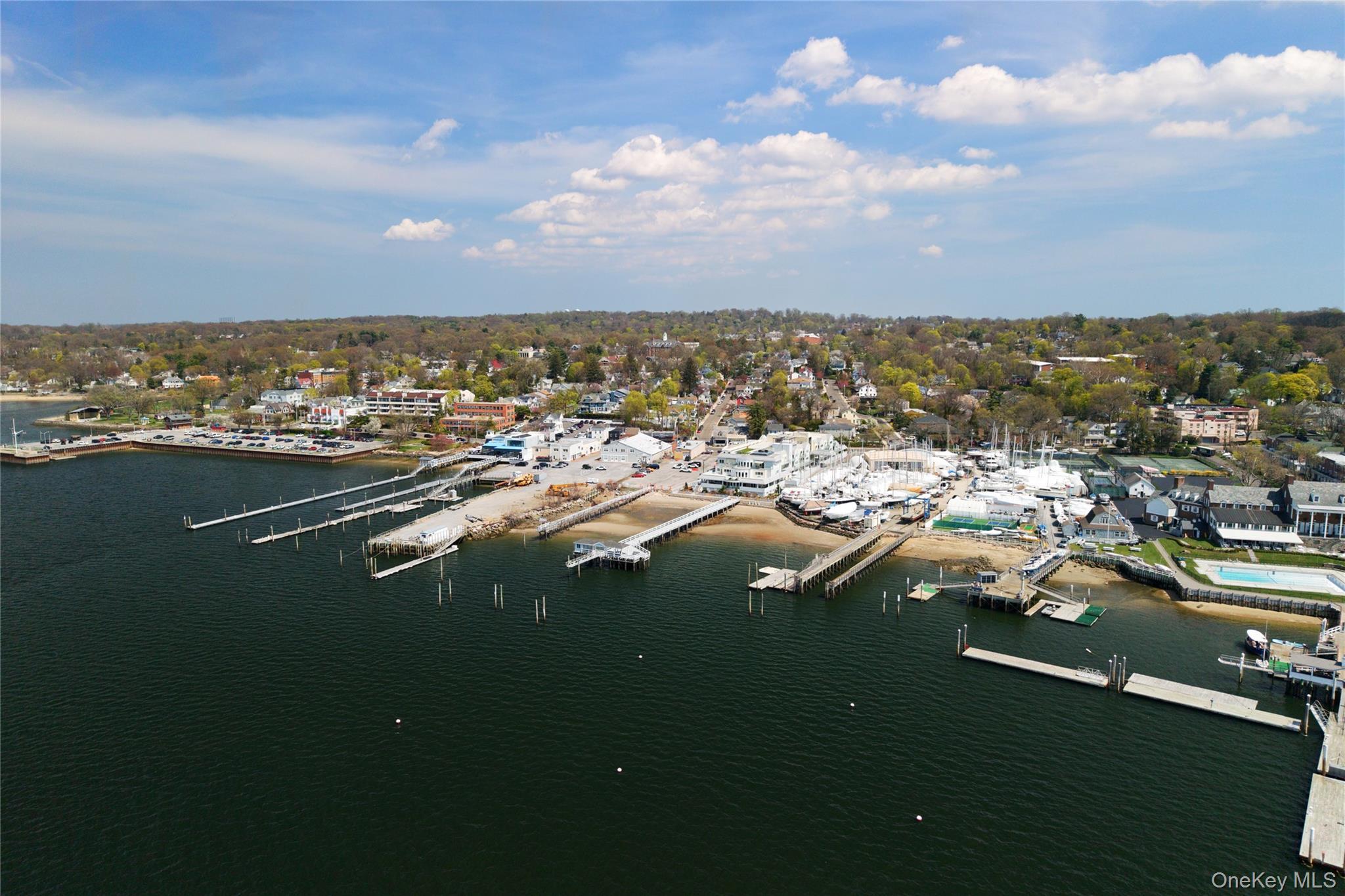 Condo Main  Nassau County, NY 11050, MLS-981658-22