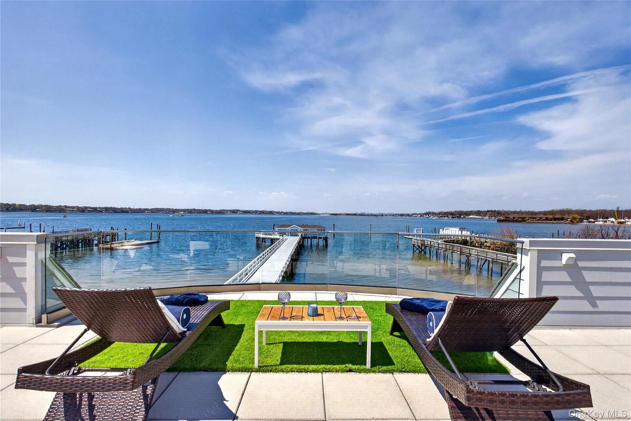 Condo Main  Nassau County, NY 11050, MLS-981658-9