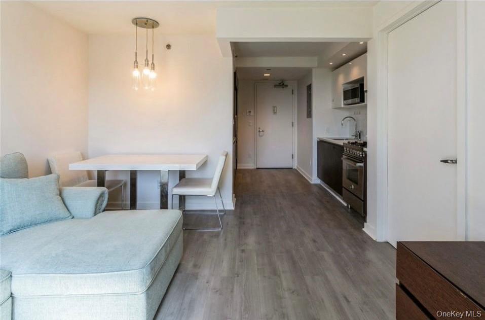 Condo Prince  Queens, NY 11354, MLS-981669-10