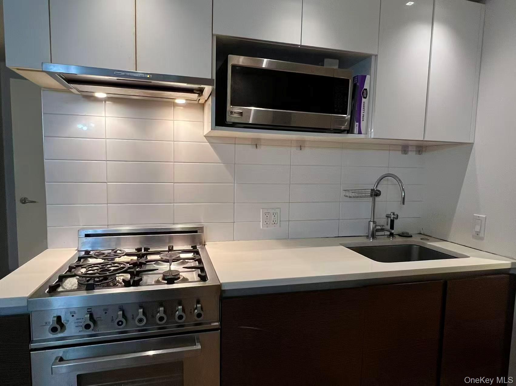 Condo Prince  Queens, NY 11354, MLS-981669-8