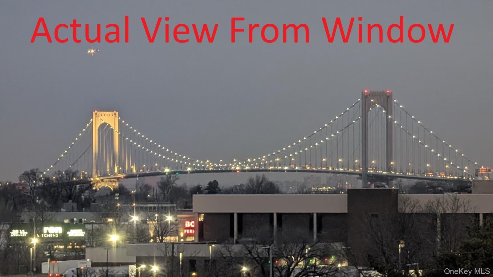 Coop 141st  Queens, NY 11354, MLS-981680-4