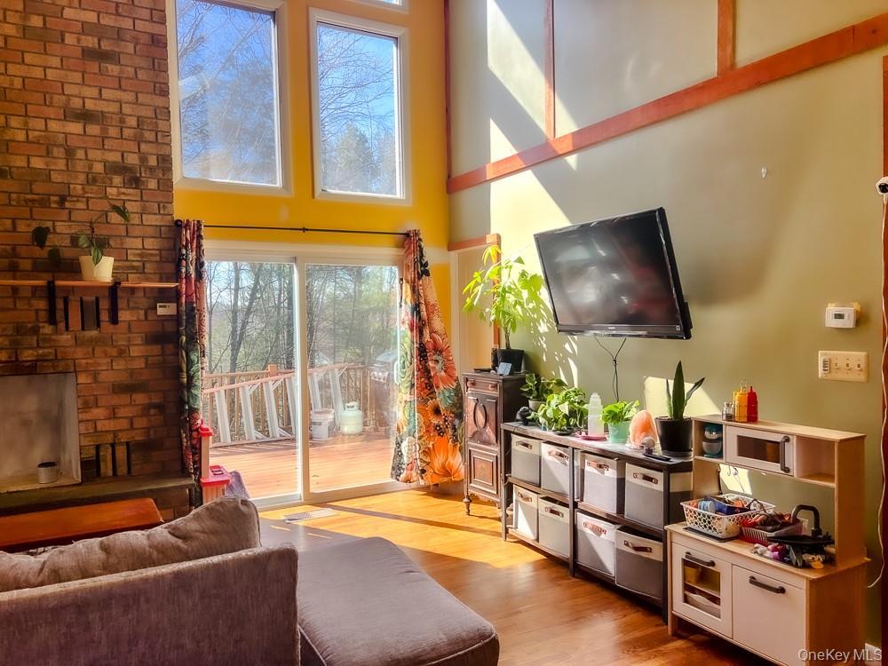 Single Family Morris  Sullivan County, NY 12759, MLS-981745-13