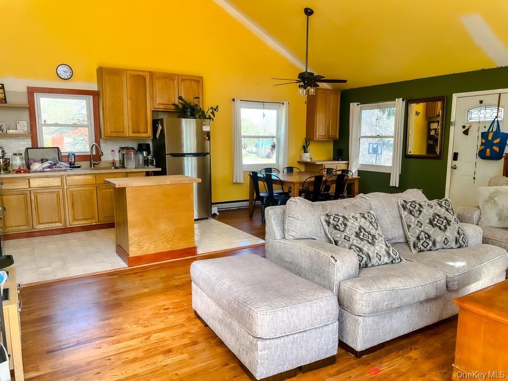 Single Family Morris  Sullivan County, NY 12759, MLS-981745-14