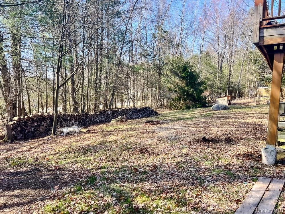 Single Family Morris  Sullivan County, NY 12759, MLS-981745-43