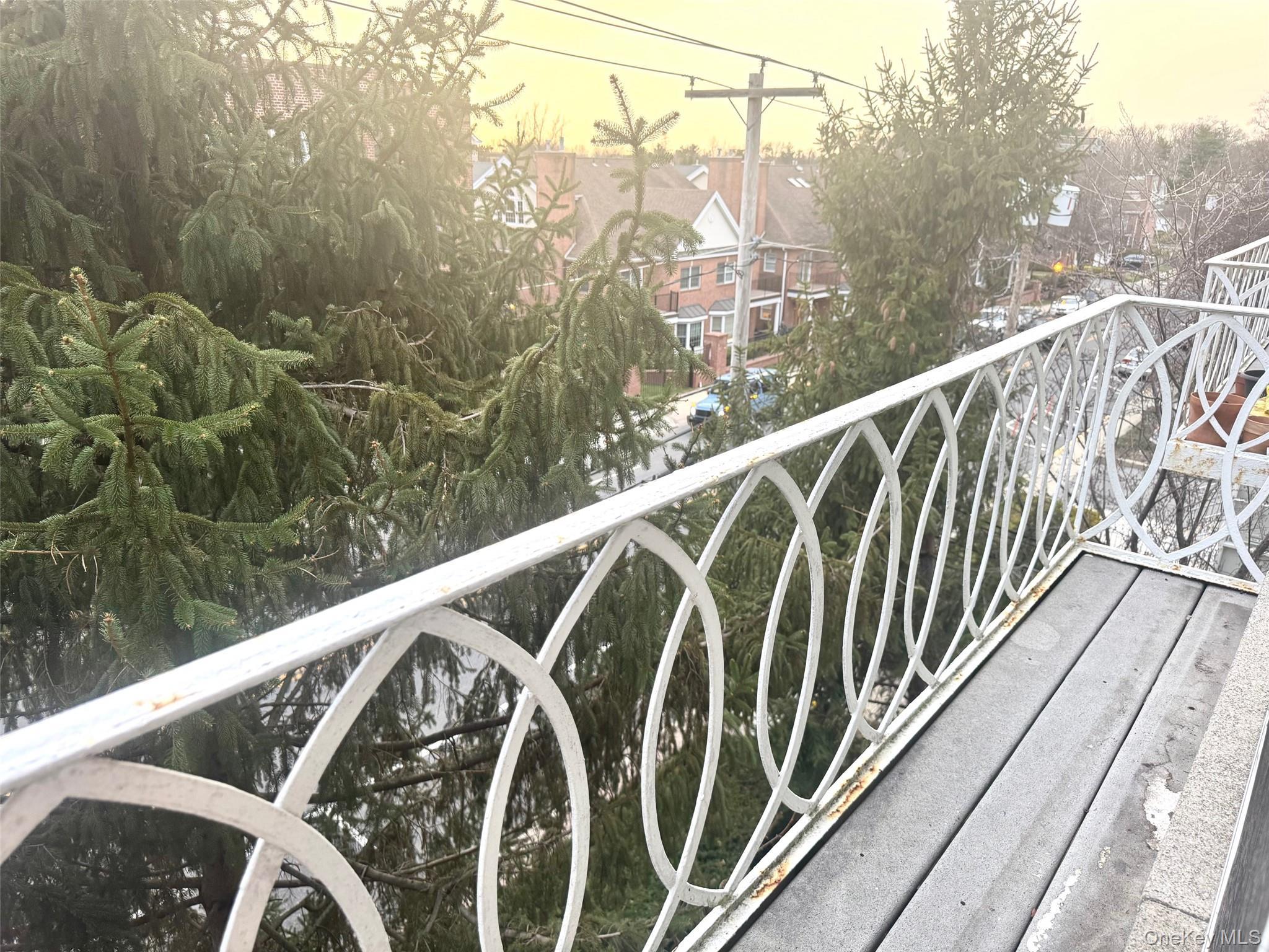 Coop Bond  Nassau County, NY 11021, MLS-981762-13