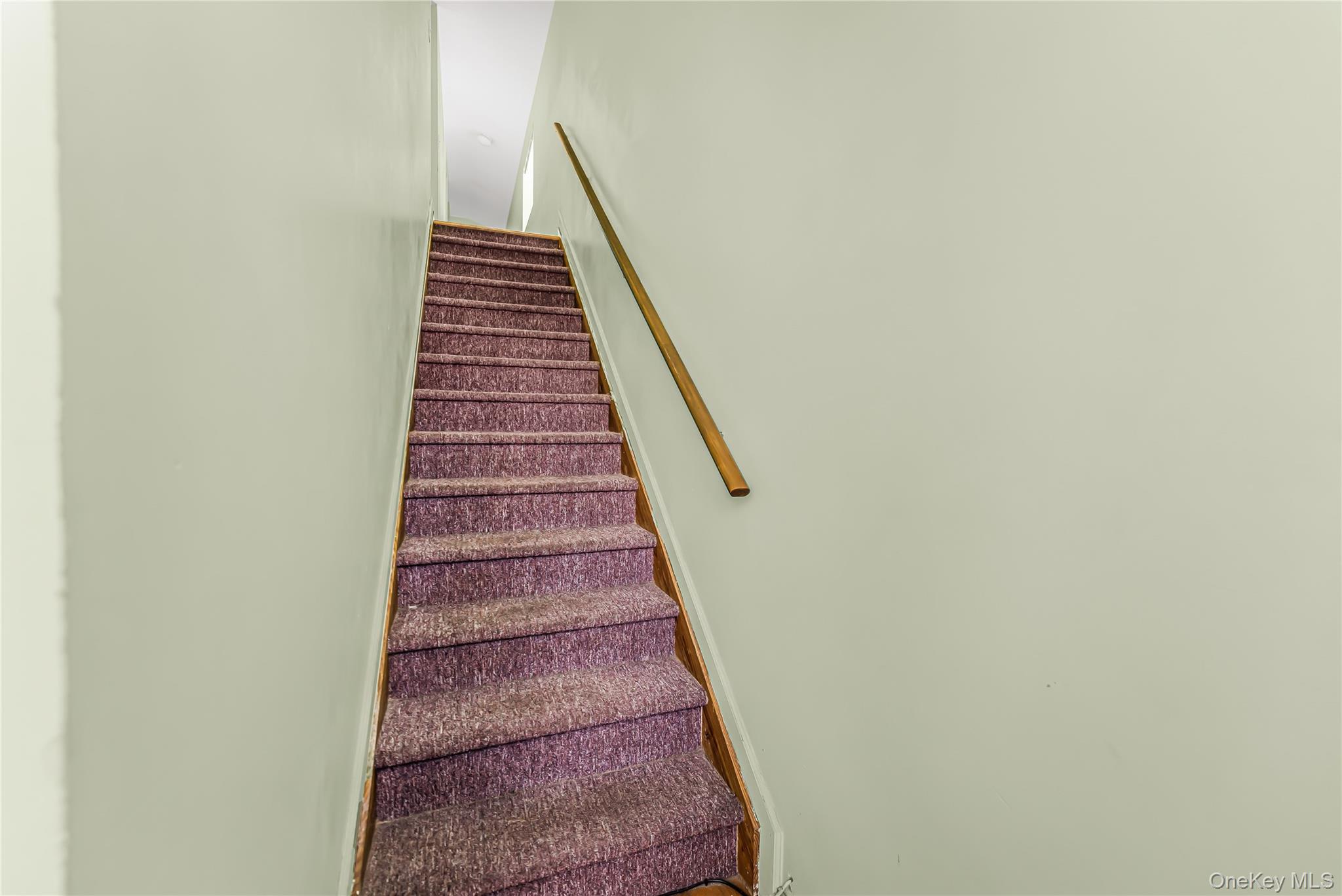 Single Family Woodhull Avenue Bronx, NY 10469, MLS-981765-23