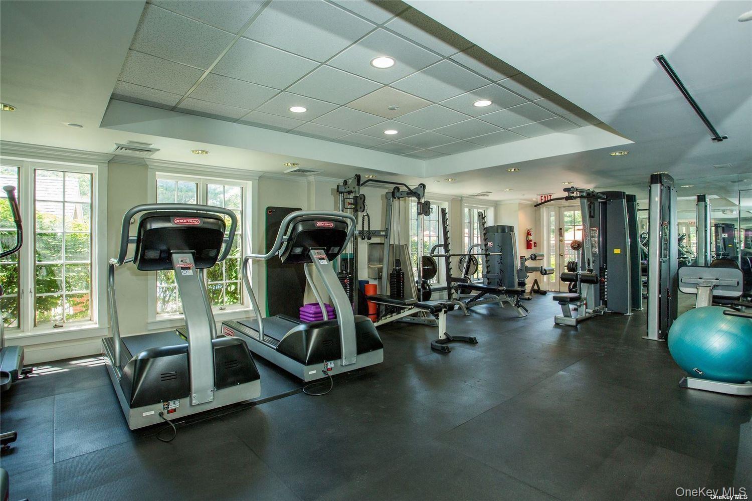 Condo Estate  Nassau County, NY 11577, MLS-981793-46