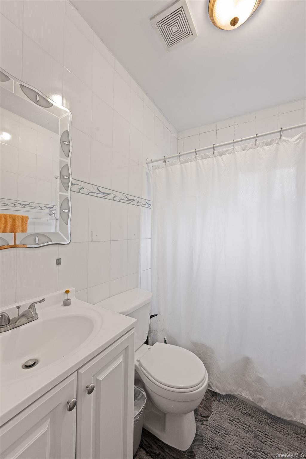 Single Family Hudson  Brooklyn, NY 11201, MLS-981815-12
