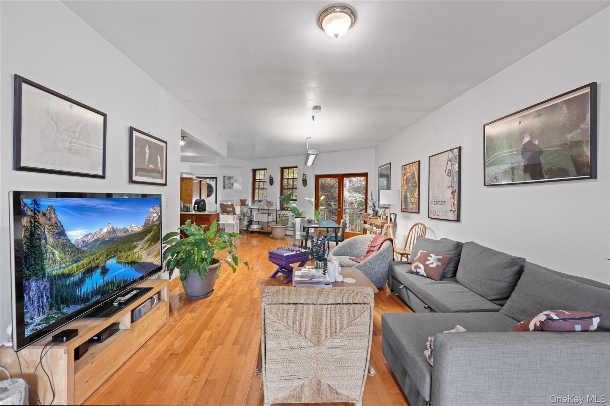 Single Family Hudson  Brooklyn, NY 11201, MLS-981815-3