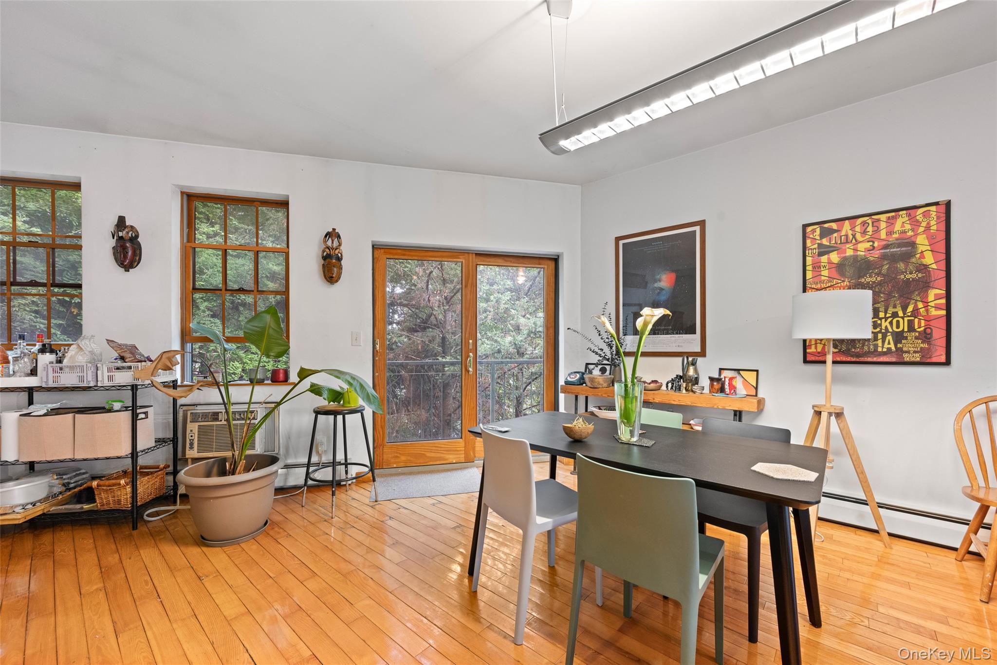 Single Family Hudson  Brooklyn, NY 11201, MLS-981815-5