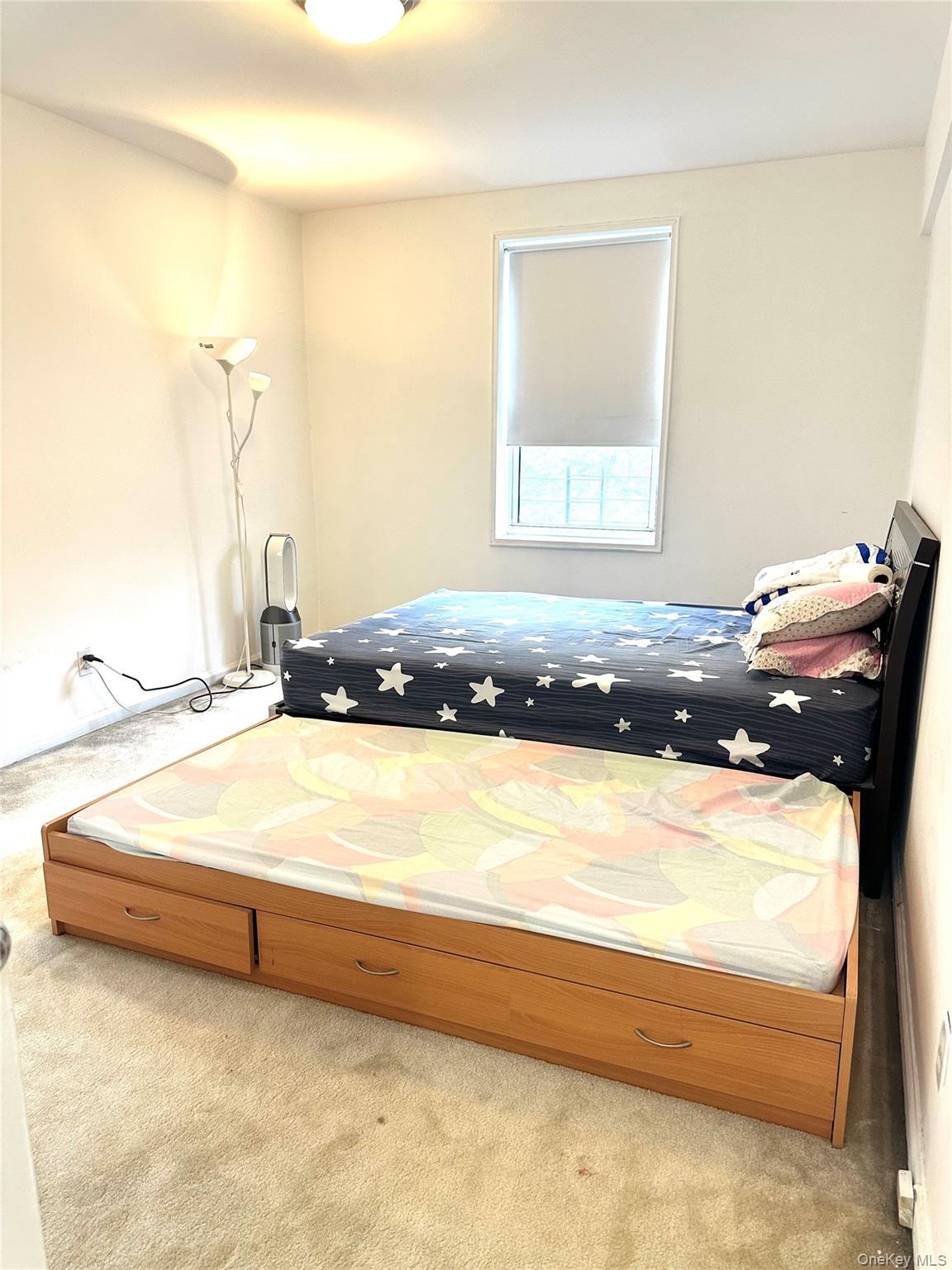 Coop Parsons Queens, NY 11354, MLS-981904-5