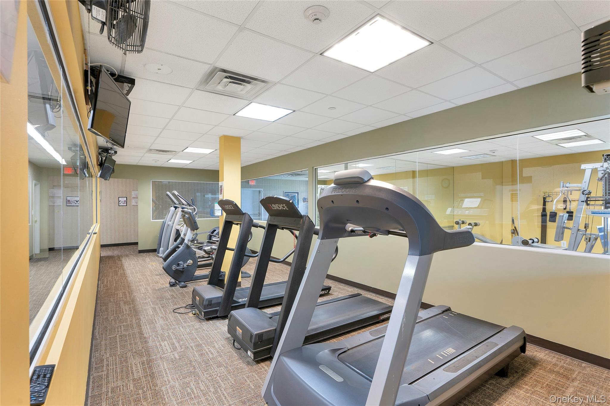 Condo Birchwood Park Suffolk County, NY 11953, MLS-981925-23